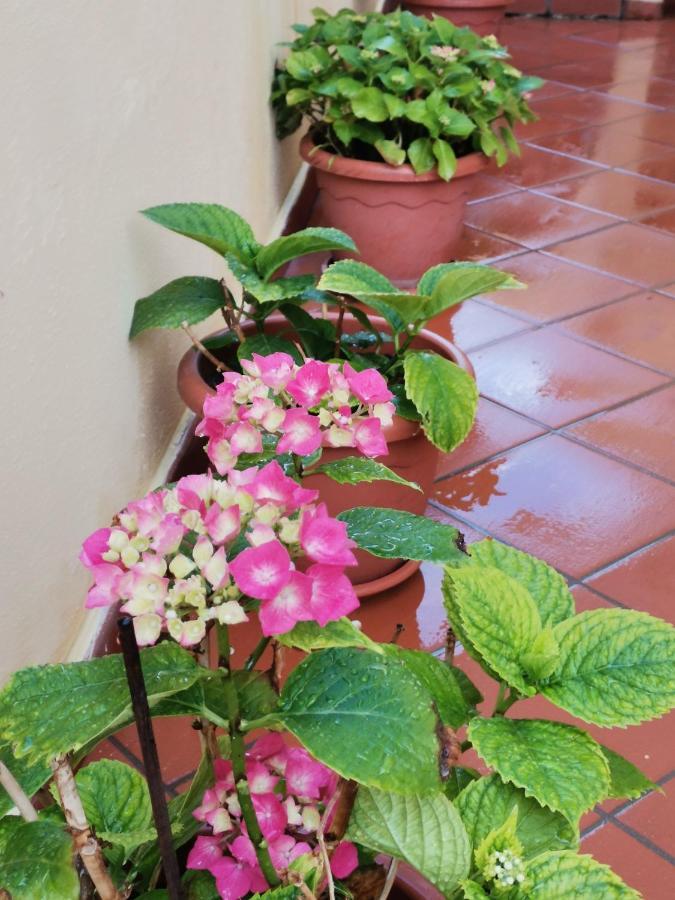 Tropea Home Ngoại thất bức ảnh